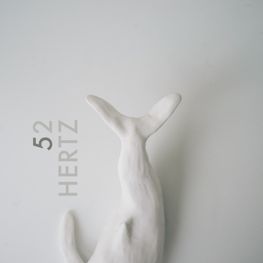 John Ozbay - 52 Hertz