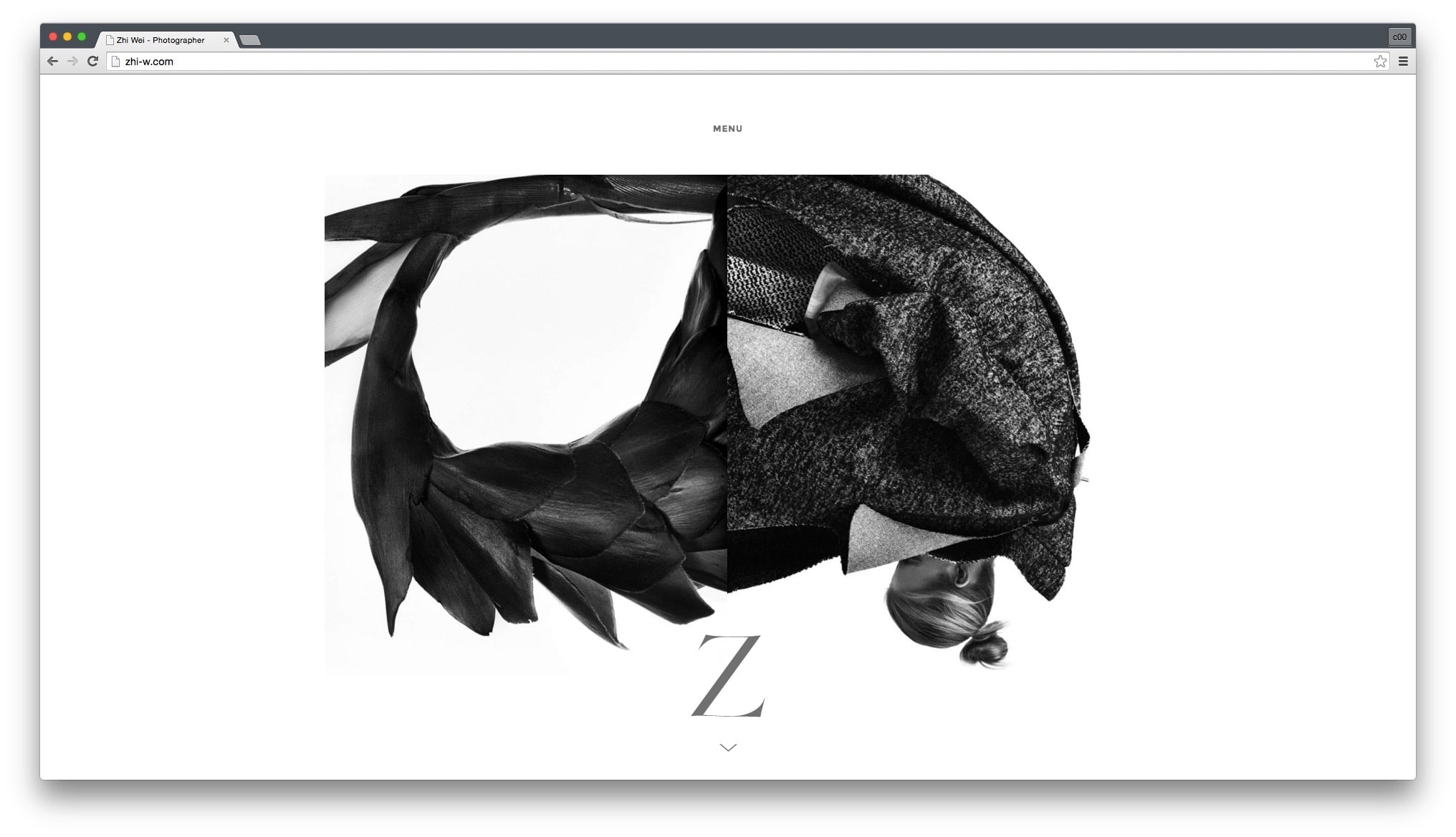 John Ozbay - Zhi Wei