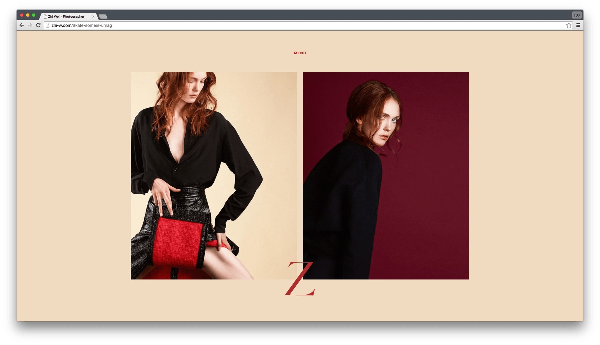 John Ozbay - Zhi Wei